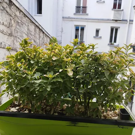 公寓 Petit Cocon Parisien ! Centre - Gare Du Nord *